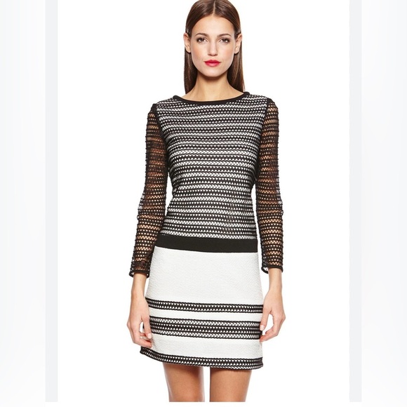 julia jordan Dresses & Skirts - NWOT Julia Jordan Mesh Overlay Knit Shift Dress Size 6